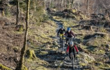 Coed y Brenin Biking Thrills: Glamping Adventures in Wales